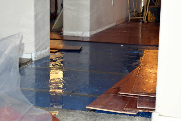 Professional Water Damage technician working in Cantua Creek, CA